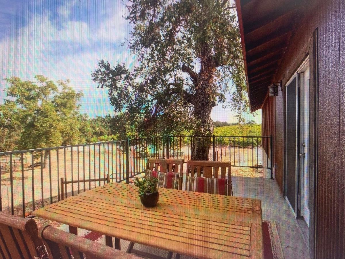 Z Ranch Templeton Exterior foto